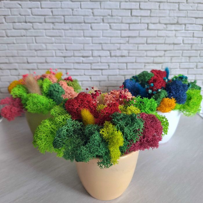 Декорации със скандинавски мъх