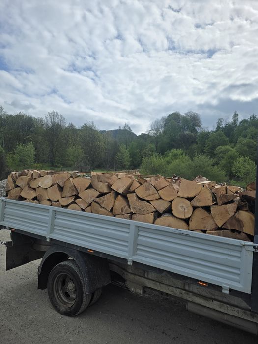 Lemn de foc din fag-de vânzare!