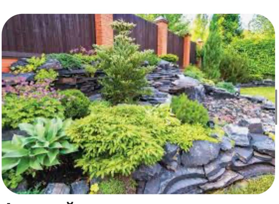 Озеленение посадка