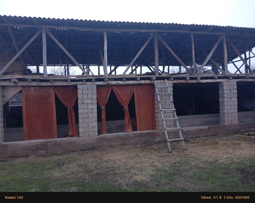 Уй Молхона 10сотик учаска