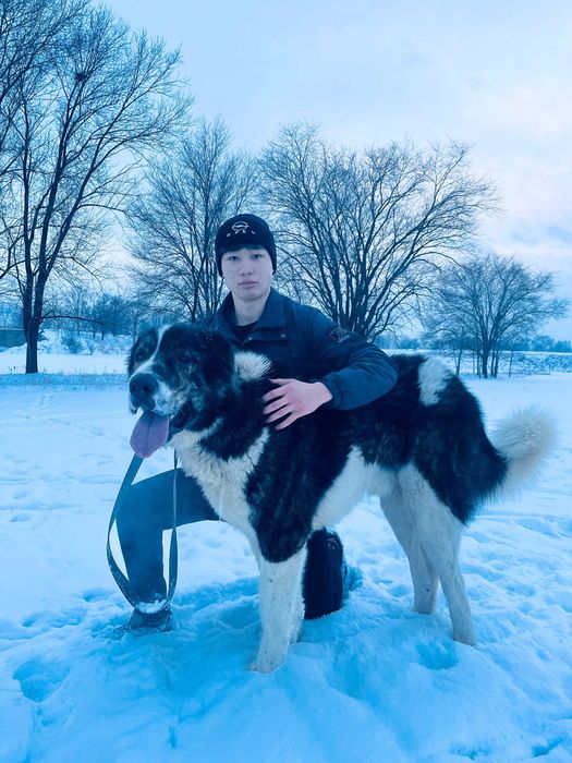 Молодой супер тяж тобет линия есть