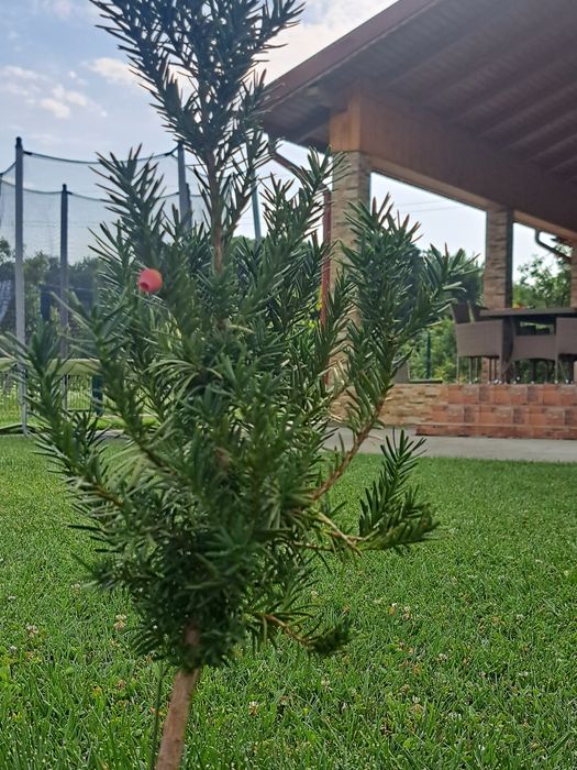 Casa moderna  intr-un peisaj de vis,situata intre Pitesti si Valcea