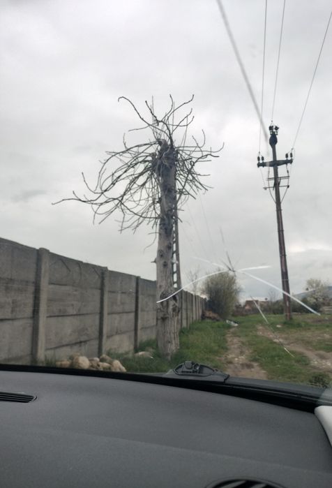 Audi A3 2.0 TDI cod motor BKD