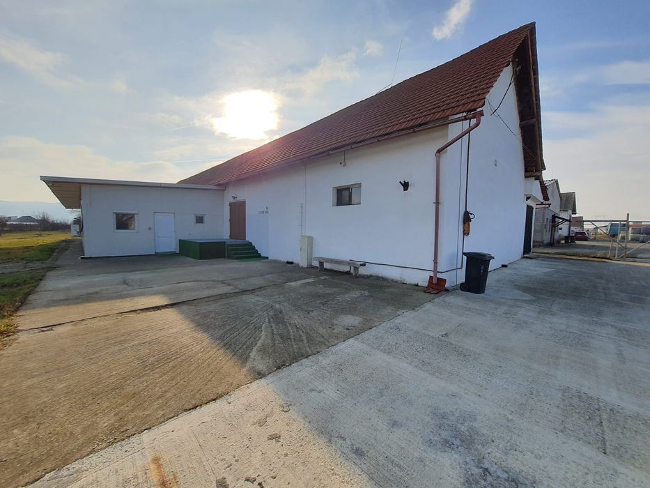 Depozit alimente/materiale/paleti, magazie, birou de inchiriat langa a