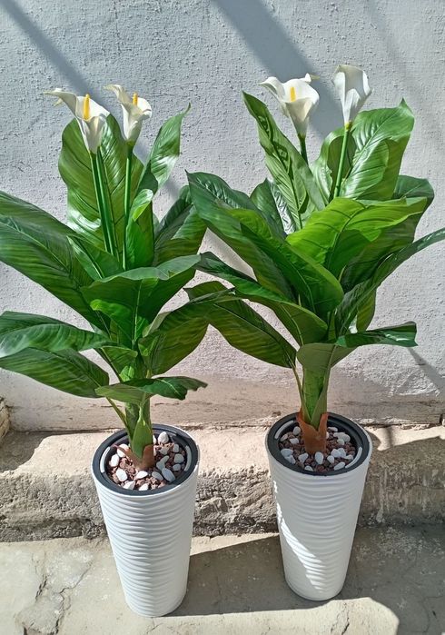 Нархлари 160 мингдан бошлаб. Декоратив суний гуллар. Ассортимент мавжу