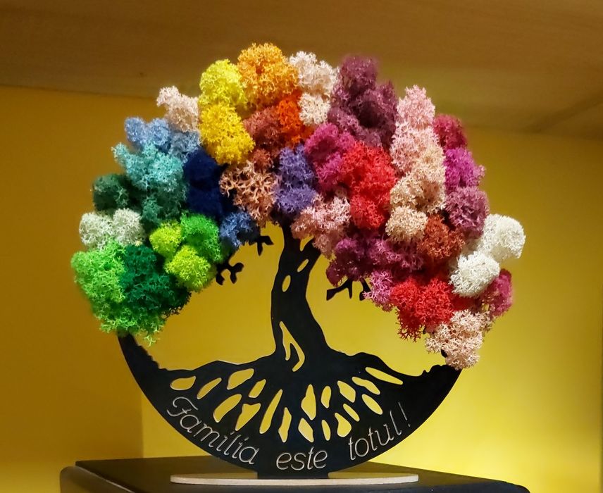 Copaci cu licheni cu suport