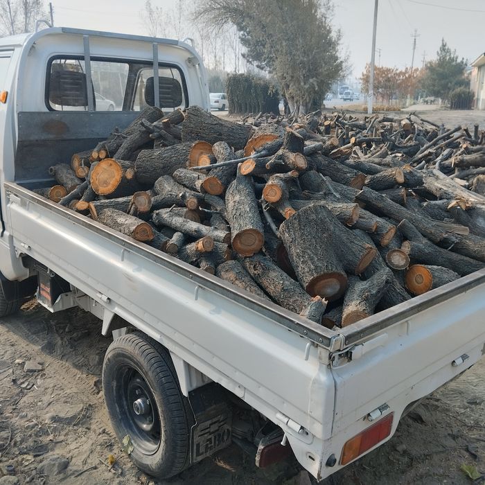 Утин Урик тайор бор