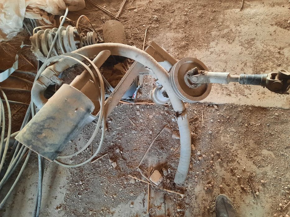 xarxil narsani suradi