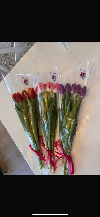 Тюльпаны Белорусские