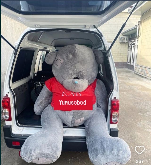 Teddi Teddy ayiqchalar (30sm 3metrgacha)