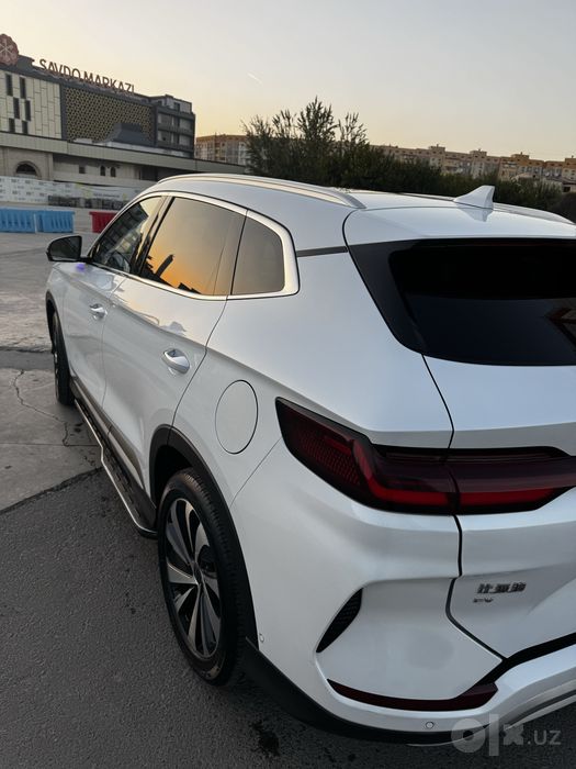 BYD Chempion 605 full 2023