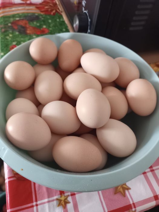 Vănd ouă proaspete de țară.