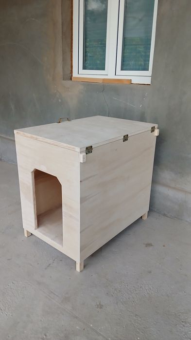 In   In  Sotiladi  100%Sifatli   Optim