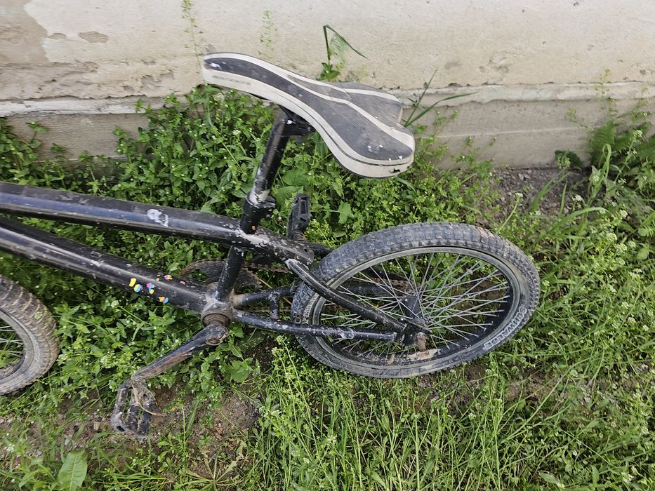 Продам 3 велика .