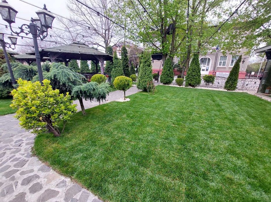 Soluții Verzi pentru Grădină – Gazon de Elită și Montaj Rapid