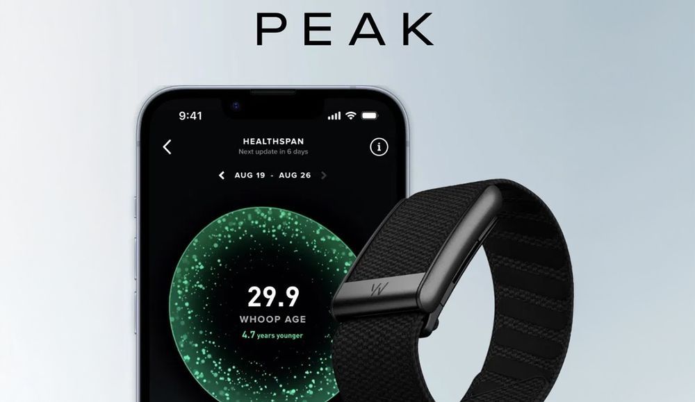 Новый модель Whoop 5.0 Peak • Фитнес-браслет •