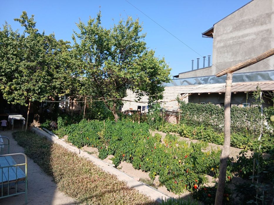 Toshkent viloyat Qibray tumani yakka chop 7 tor kocha 9 uy