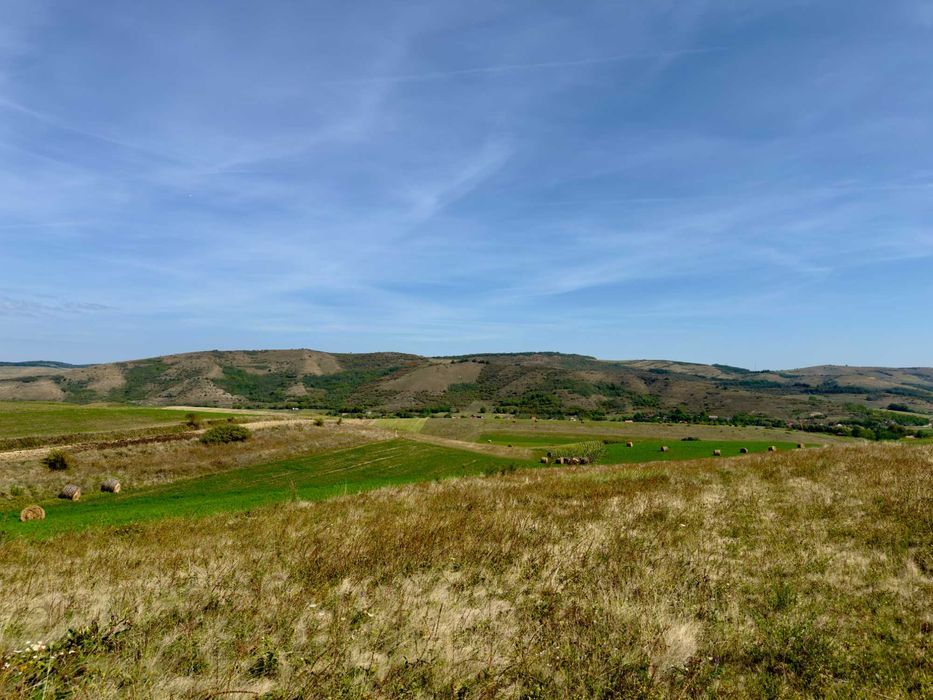 Proprietar - Teren intravilan 4.300 mp + casa veche Suatu cu livadă