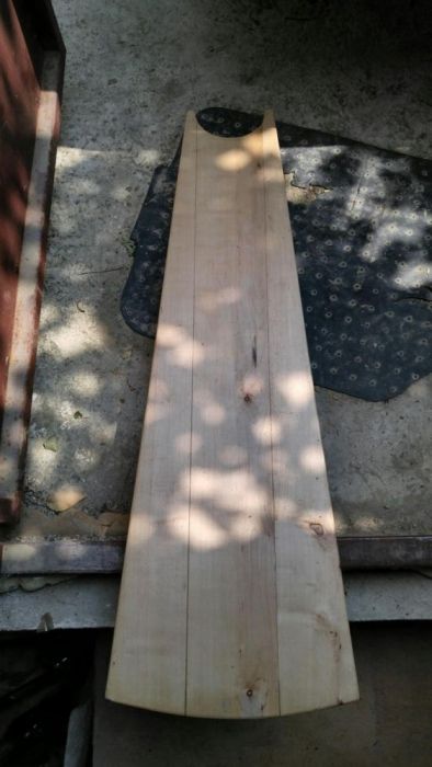 Trepte lemn masiv imbinate pt scara interioara , lemn fag