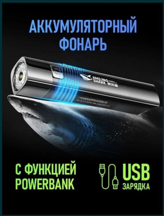 Фонарик LED, аккумляторный.