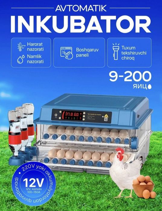 Avtomatik Inkubator 48 tali