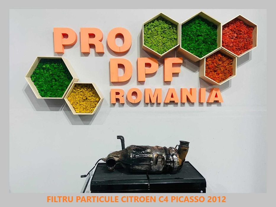 Demontare / Montare / Resetare / CURATARE DPF