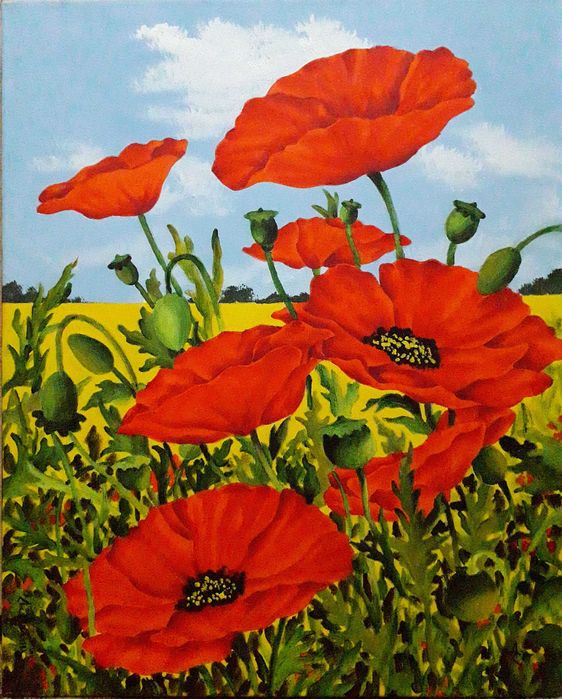 Tablouri handmade, panza pe sasiu, 50/40 si 70/50 (III)