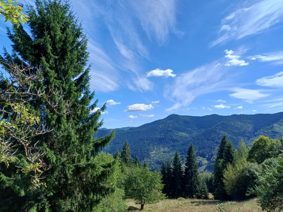 Casă/gospodărie + teren 5.7 ha intravilan Brodina, jud. Suceava