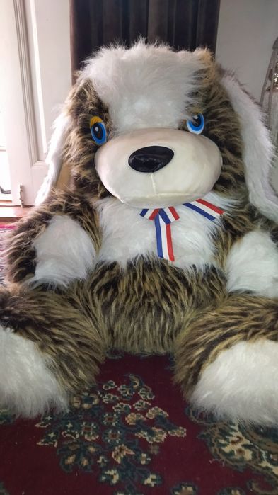 Oʻyinchoq kuchukcha