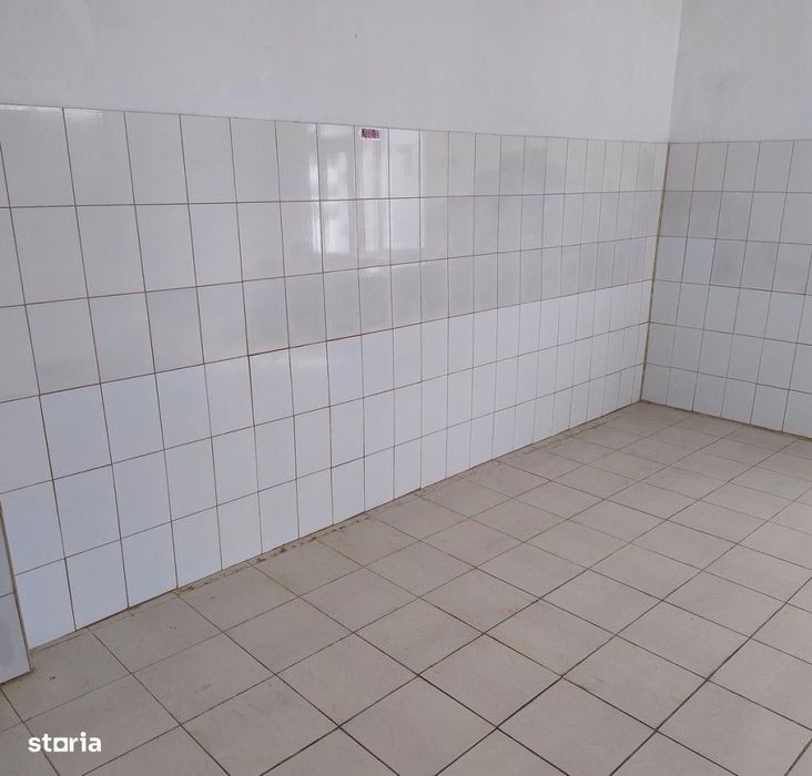 Spatiu Comercial | Cismigiu | Victoriei | Stradal