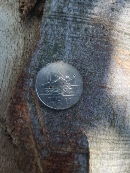 Moneda 1 leu din 1966