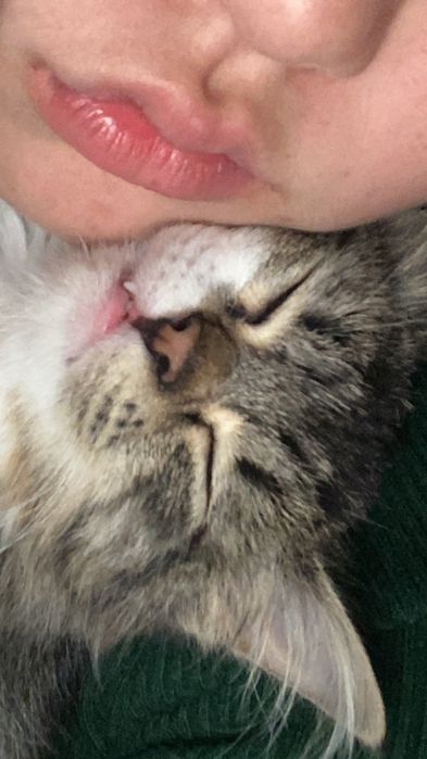 Отдадим в хорошие руки!