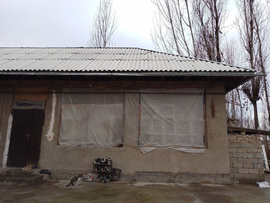 Yangiyoʻl tumanida joylashgan ezoz kfesi yonida zarilga sotilayabdi