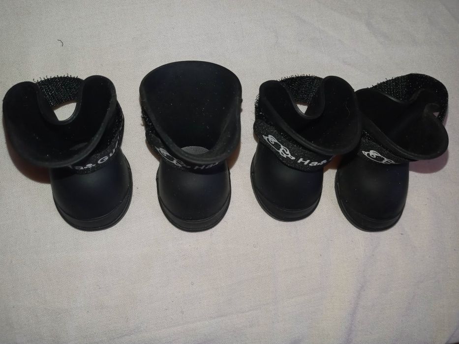 Incaltaminte caini companie, noua