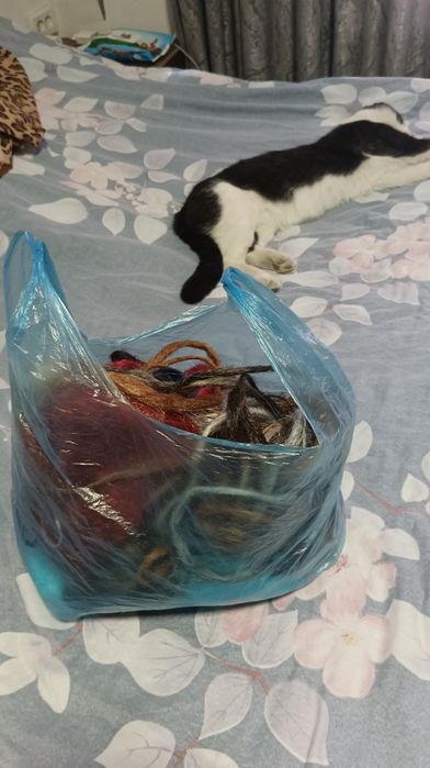 Каникалон. Может кому нужно.