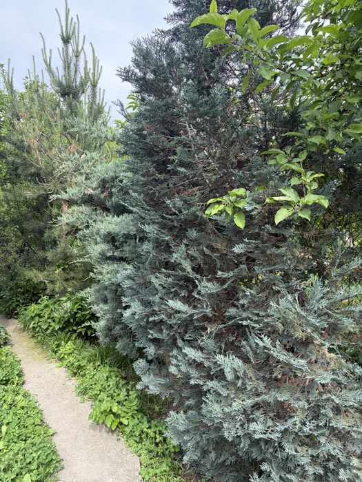 Продаем жилой Дом