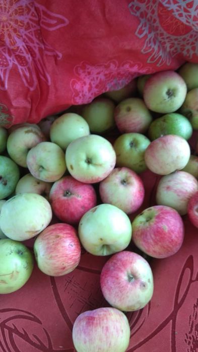 Продаётся  дачный участок п. Деркул