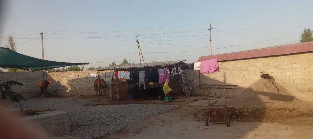 Продам участок с домом