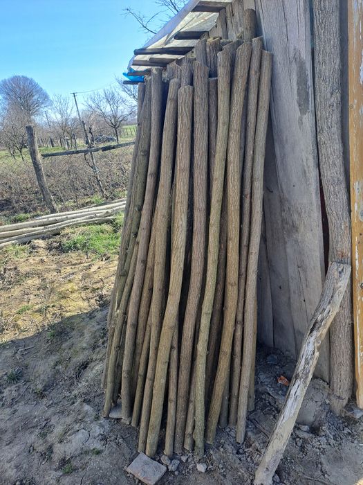 Vand pari de rosii 2 lei paru asa cum sunt 3 lei ascutit