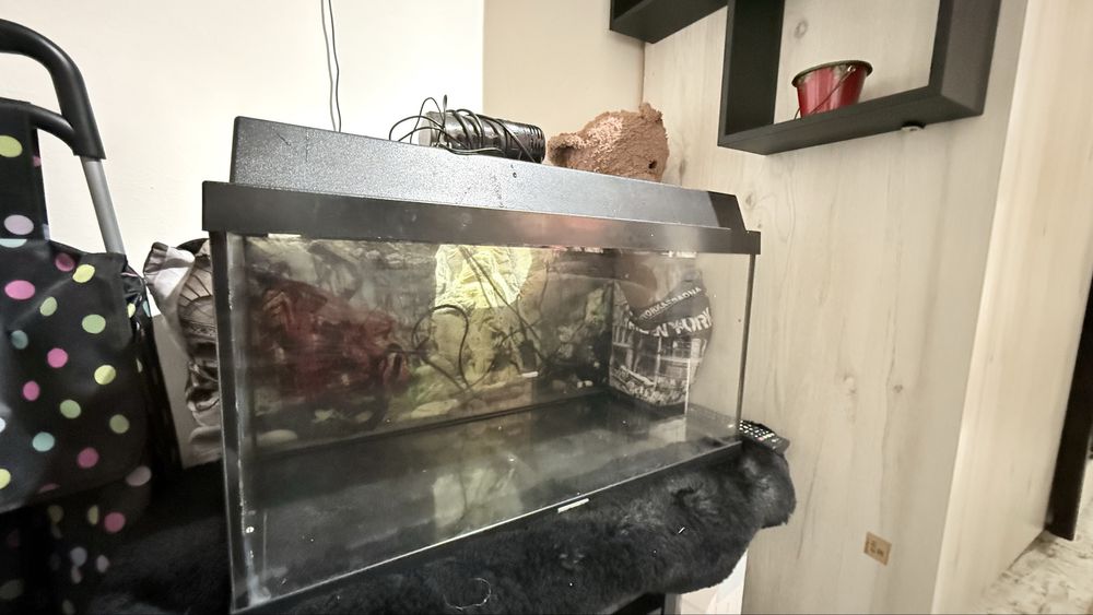 Vand acvariu Juwel 60 litri ,stare f buna ,fara pesti
