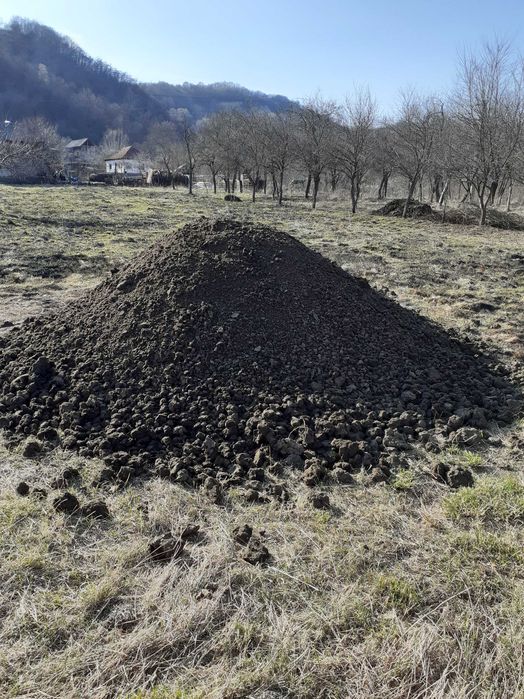 Mranita si  gunoi de grajd bine descompus