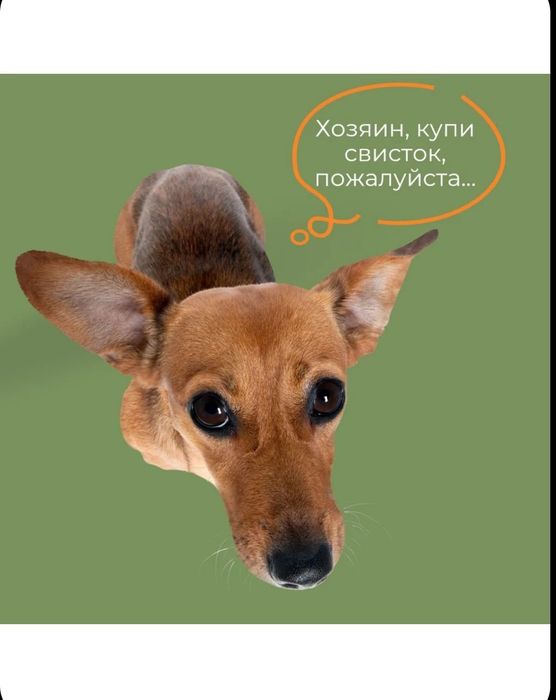 Свистки для собак