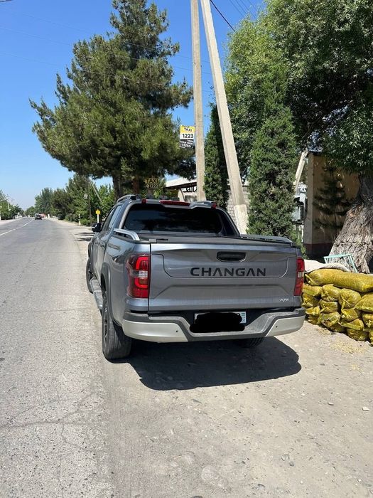 Changan pikab hunter