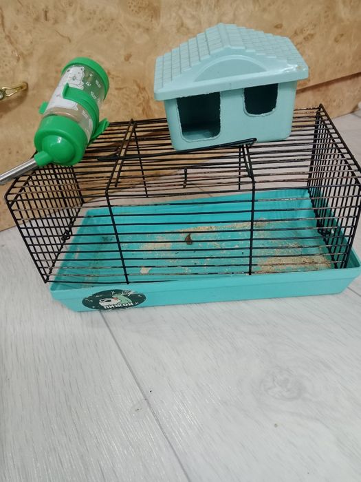 Продам одна клетка 2500