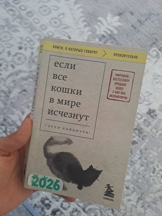 Книга >