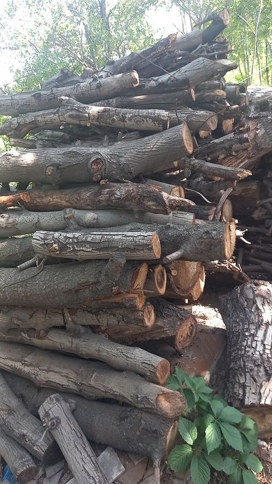 Дрова ореха и  вишни