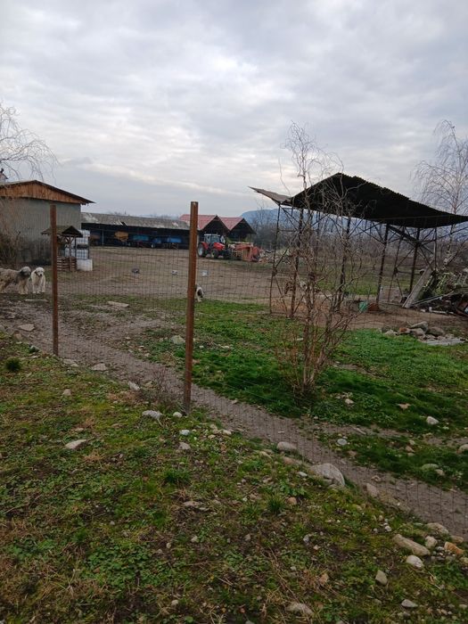 Teren cu constructii  ,fost SMA