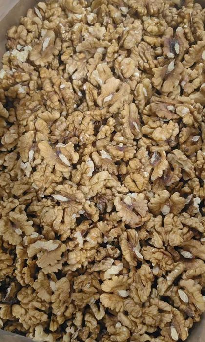 Vand miez de nuca NOU, productie 2025