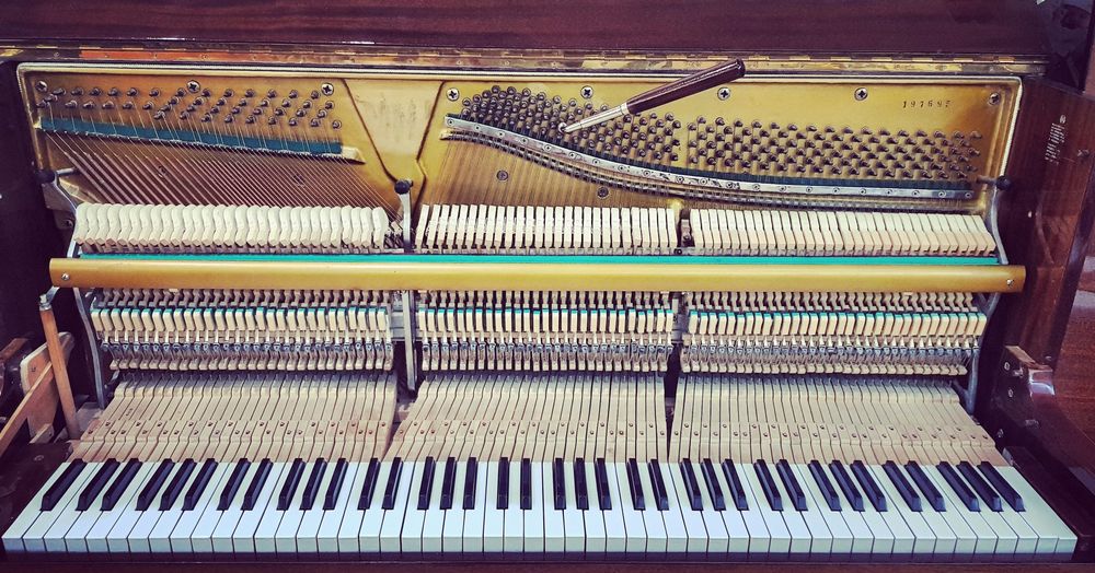 •Lectii de PIAN•