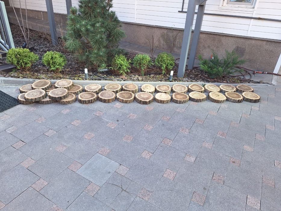 Продам спилы карагача